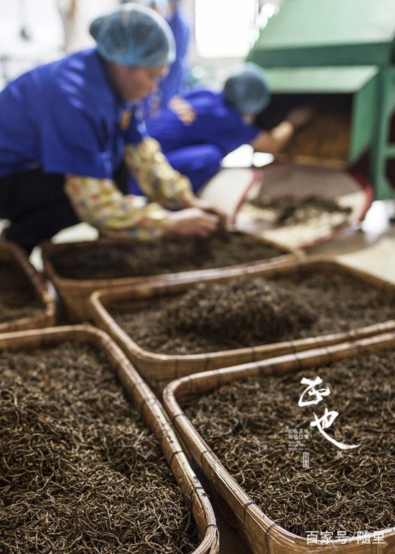 茶叶加工机械设备全套：打造高质高效生产线