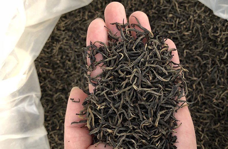 大茶沟：信阳茶叶合作社的崛起之路