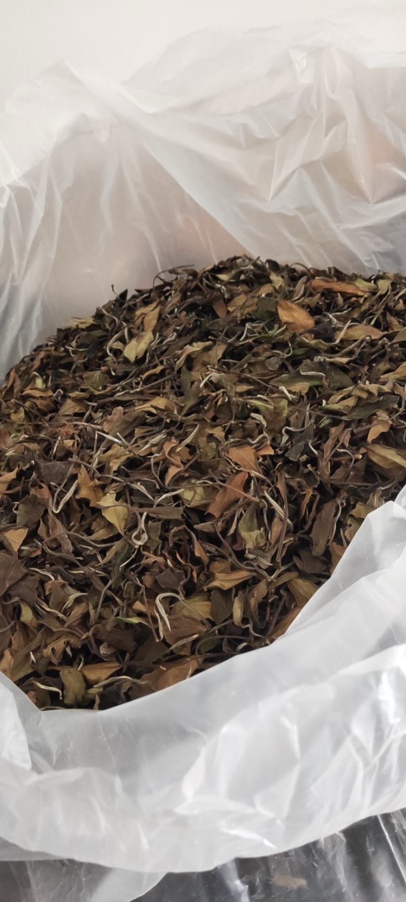 白茶批发