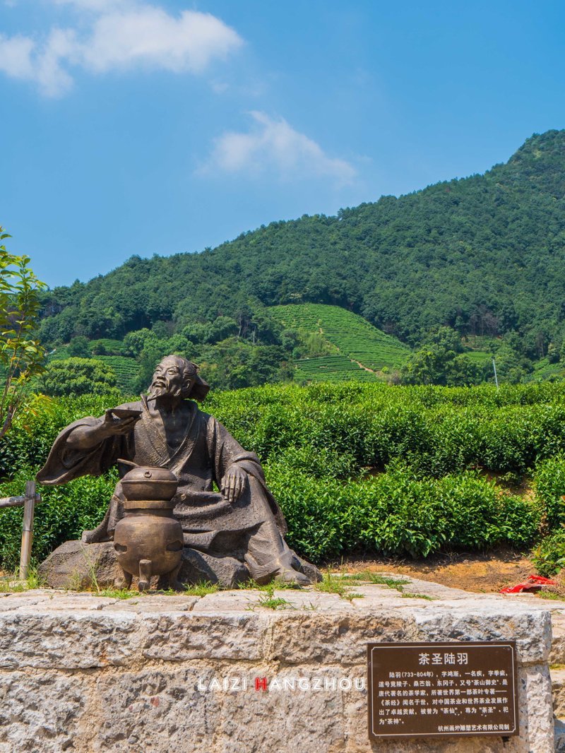 茶叶加工机械设备全套，你选对了吗？